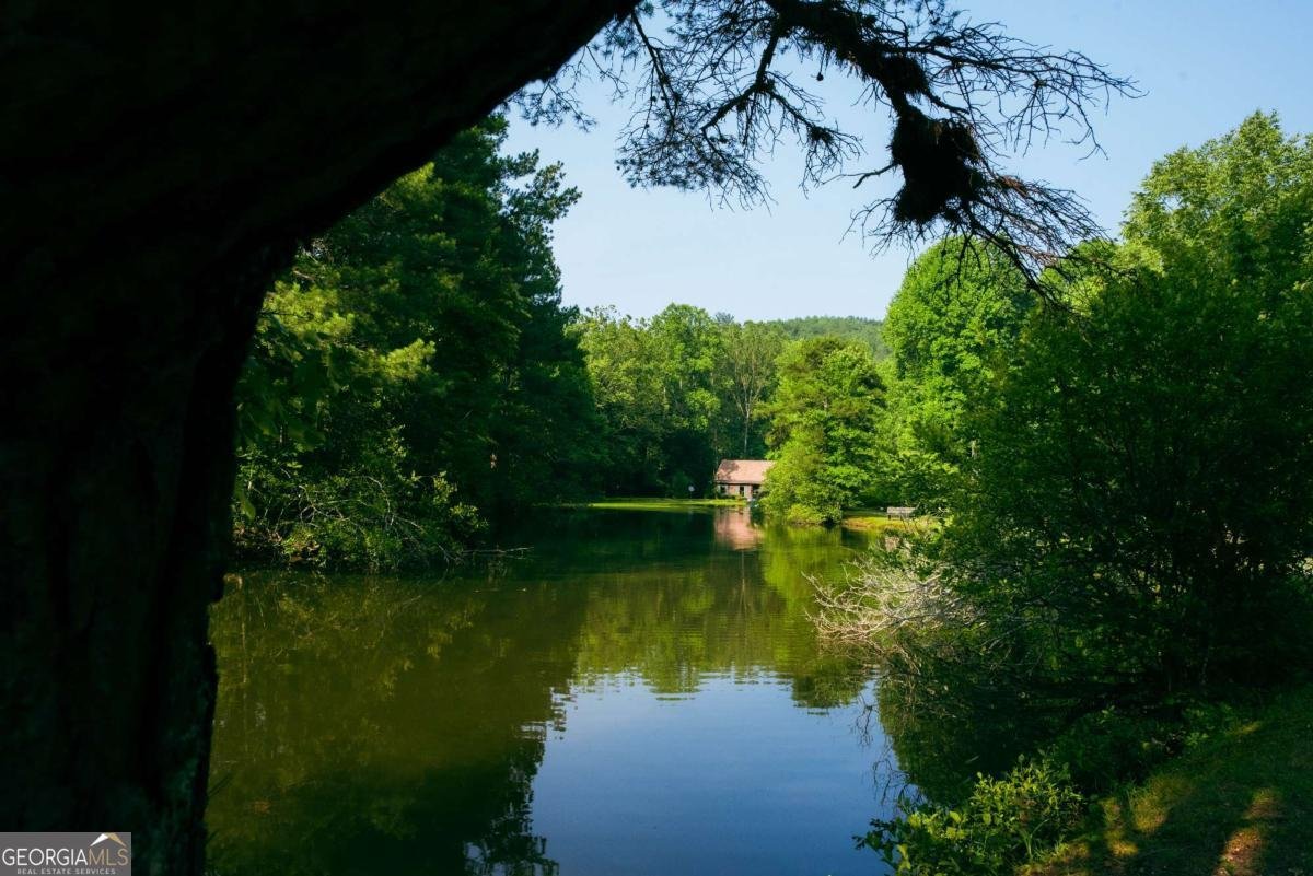 184 Rockhouse Road Cherry Log - 28