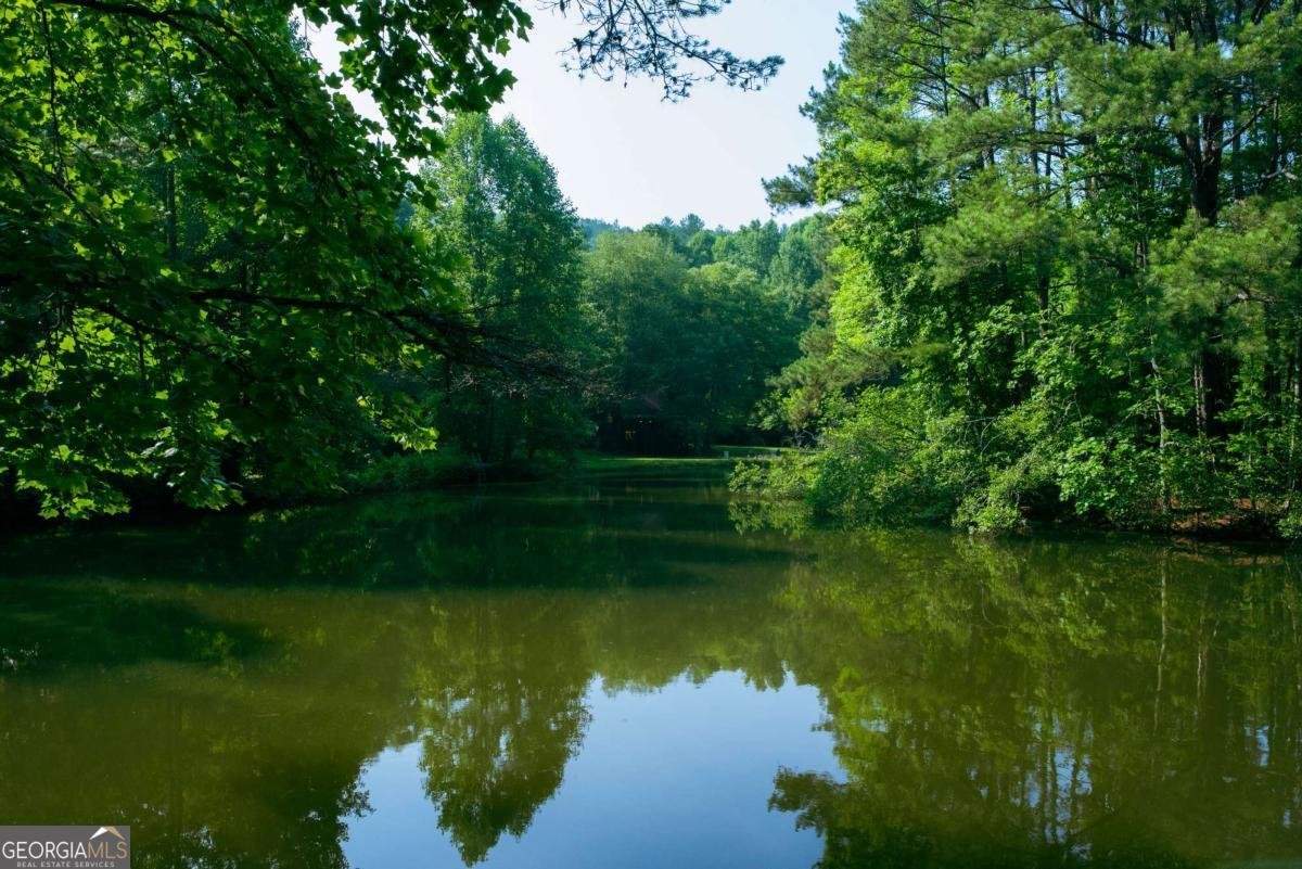 184 Rockhouse Road Cherry Log - 29