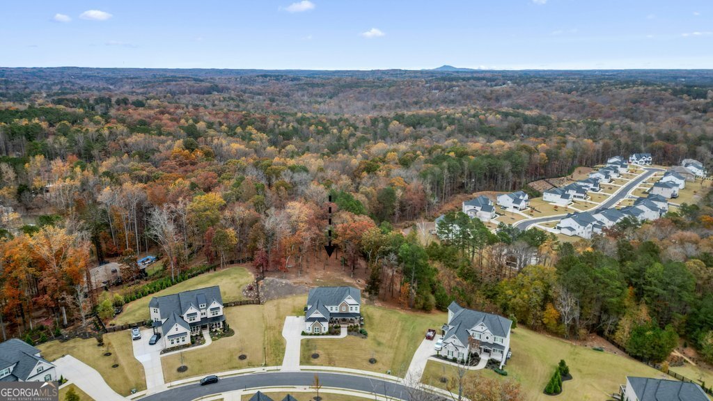 207 Milton Overlook Pass Woodstock - 80