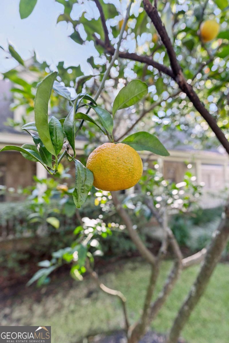 106 Sandcastle Way St. Simons - 33