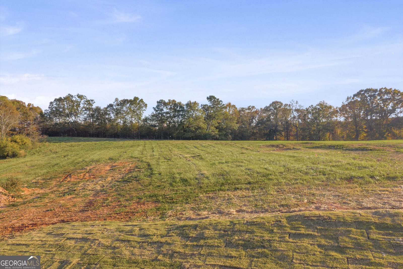 1380 Anderson Thomas Road Martin - 3