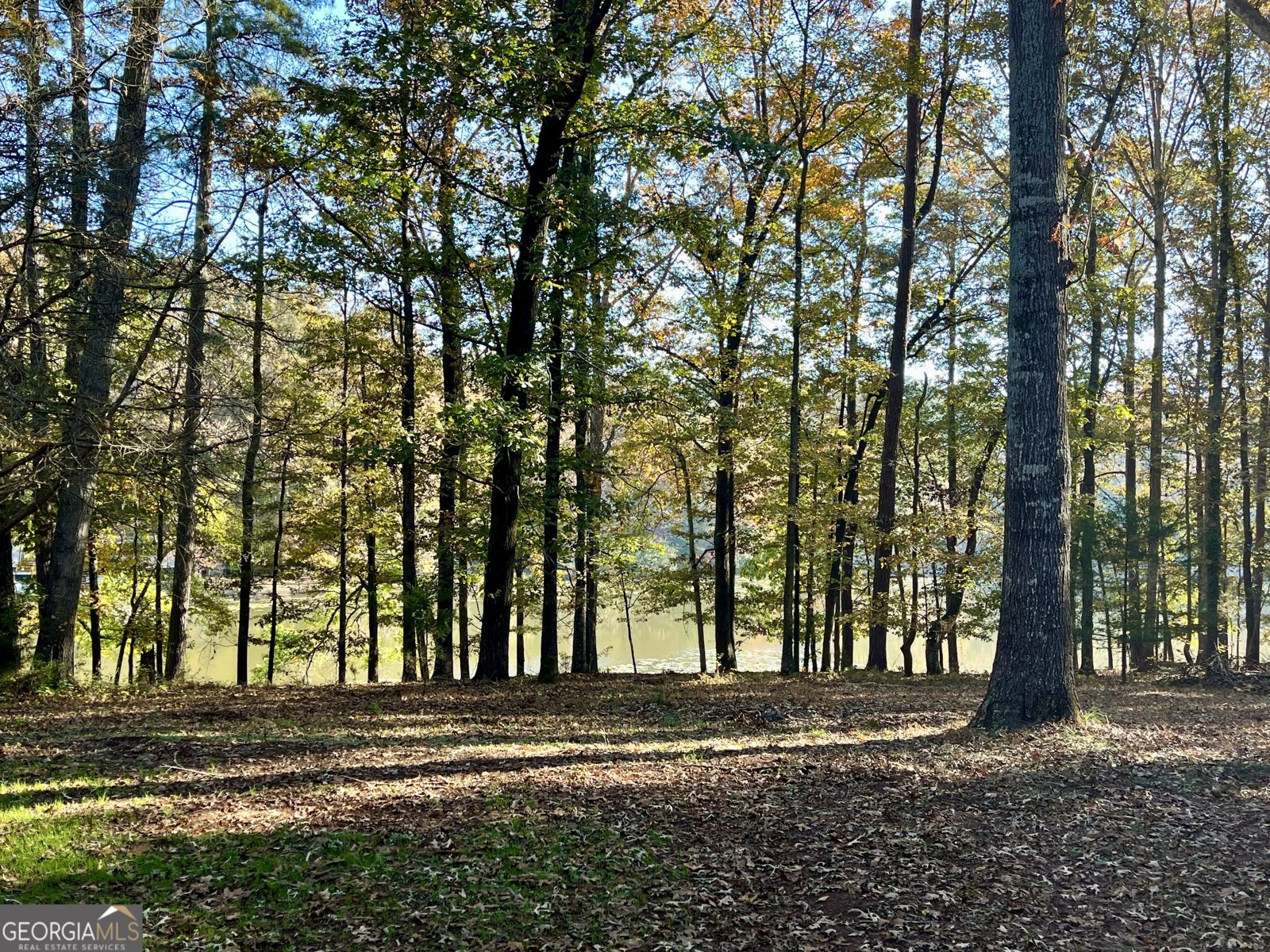 159 May Lane Zebulon - 6