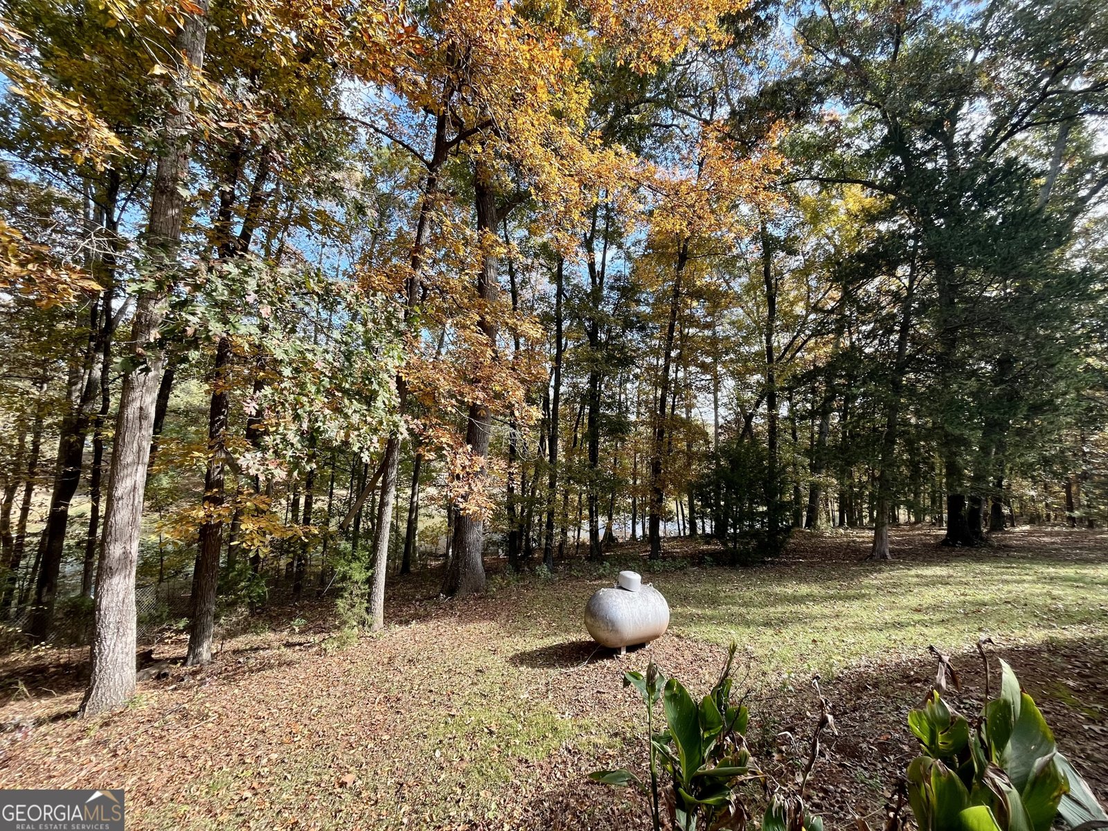 159 May Lane Zebulon - 97