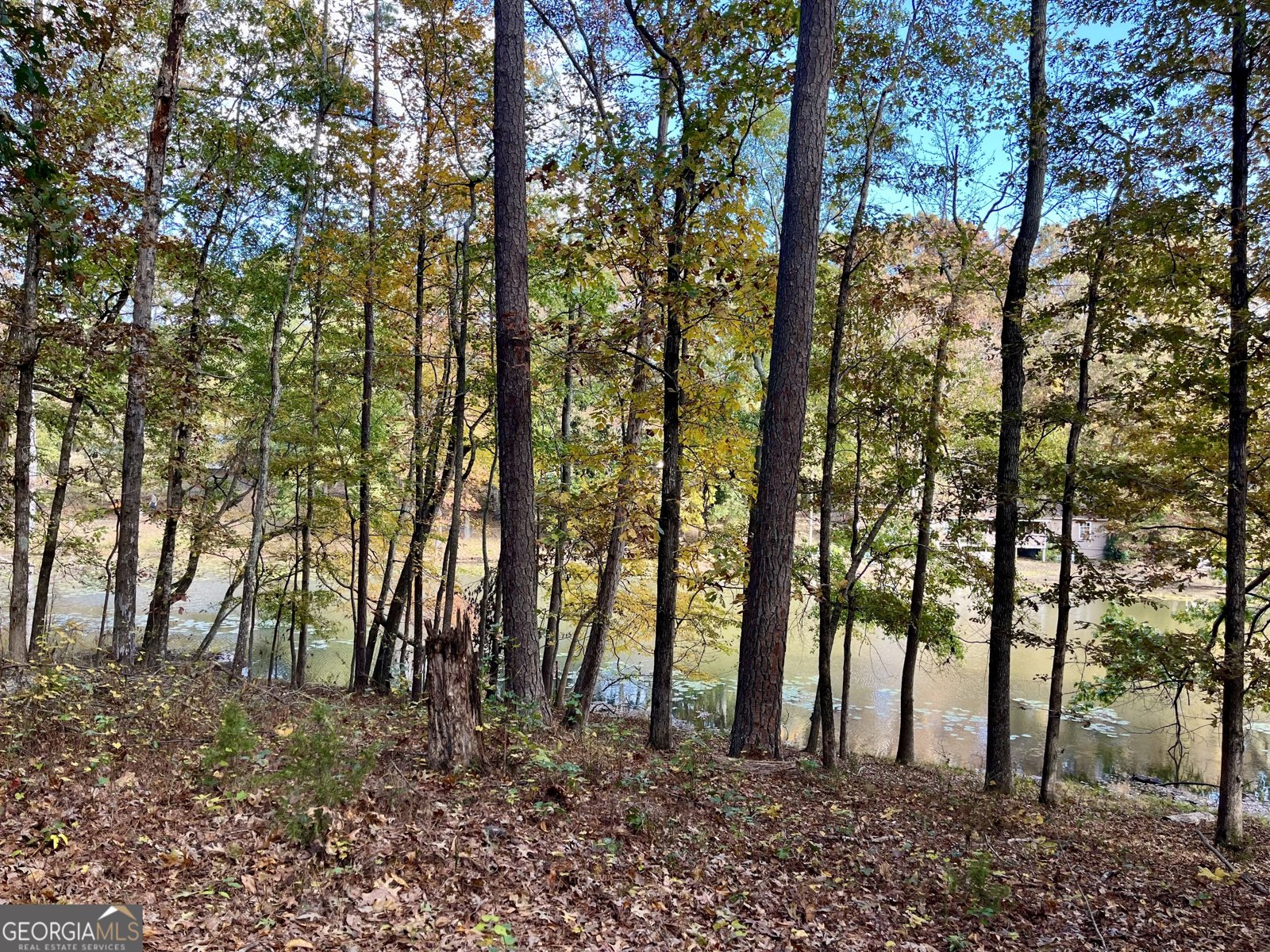 159 May Lane Zebulon - 99