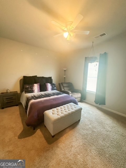 283 Osier Drive McDonough - 16