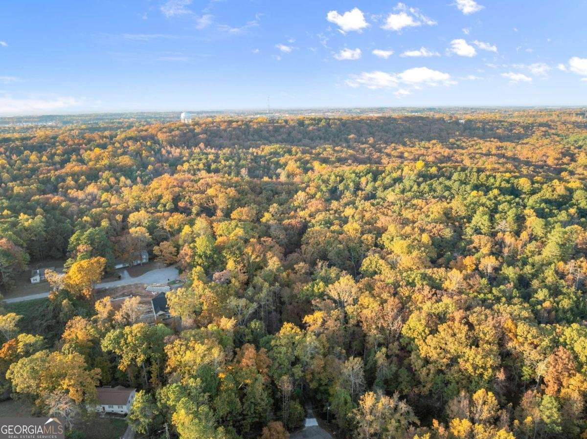 4647 Laurel Brook Drive Flowery Branch - 40