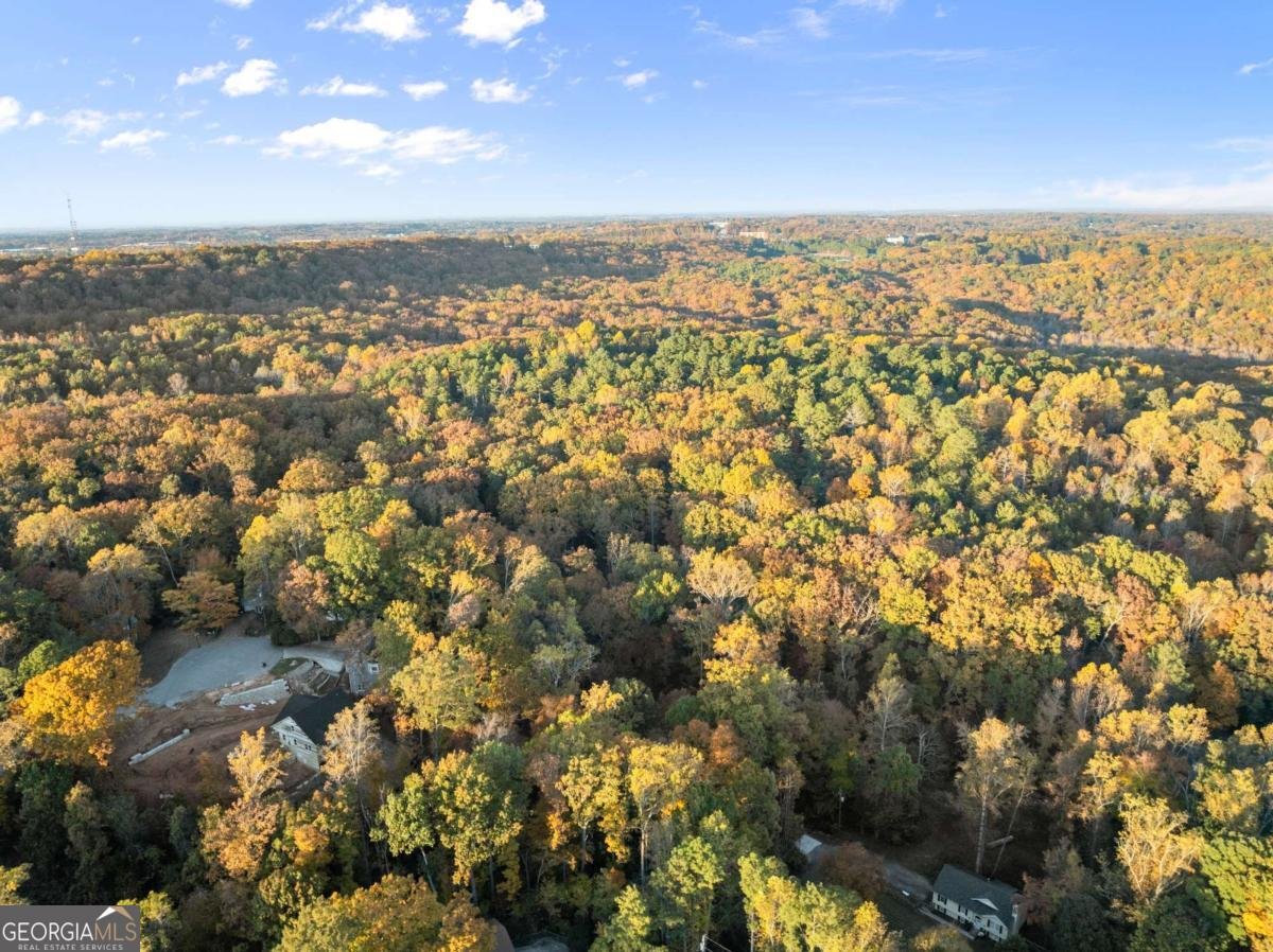 4647 Laurel Brook Drive Flowery Branch - 42