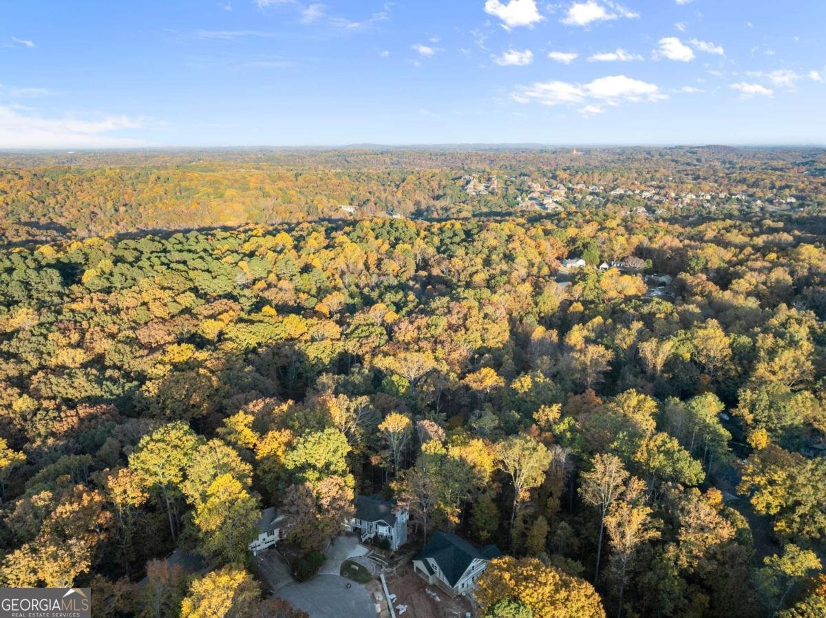 4647 Laurel Brook Drive Flowery Branch - 44