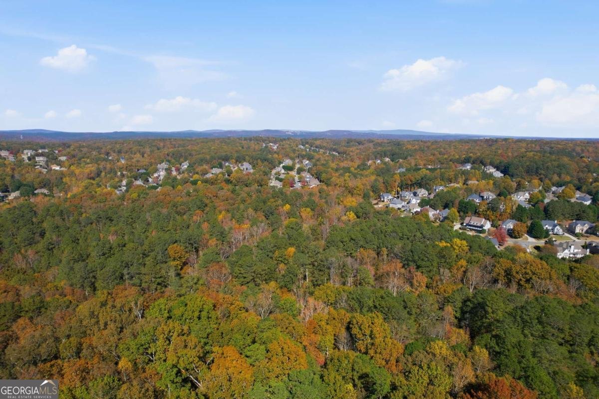 435 Lake Point Trace Canton - 68