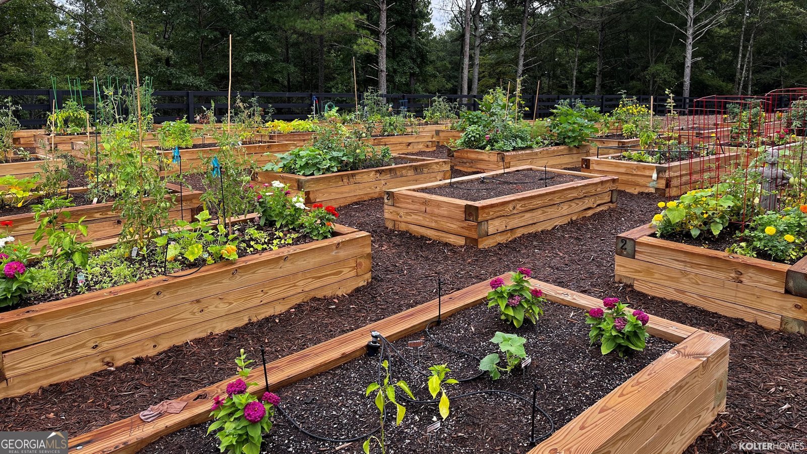 158 Chatuge Drive Hoschton - 33