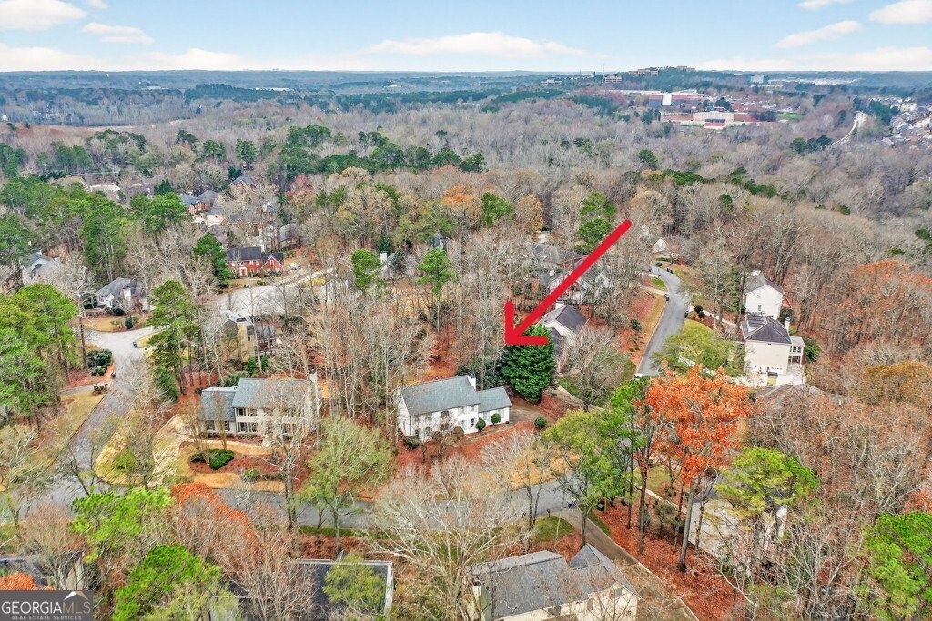 8110 Willow Tree Way Alpharetta - 13