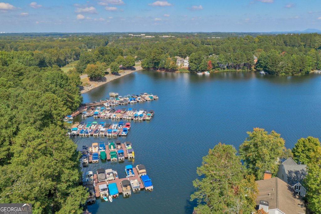 8110 Willow Tree Way Alpharetta - 22