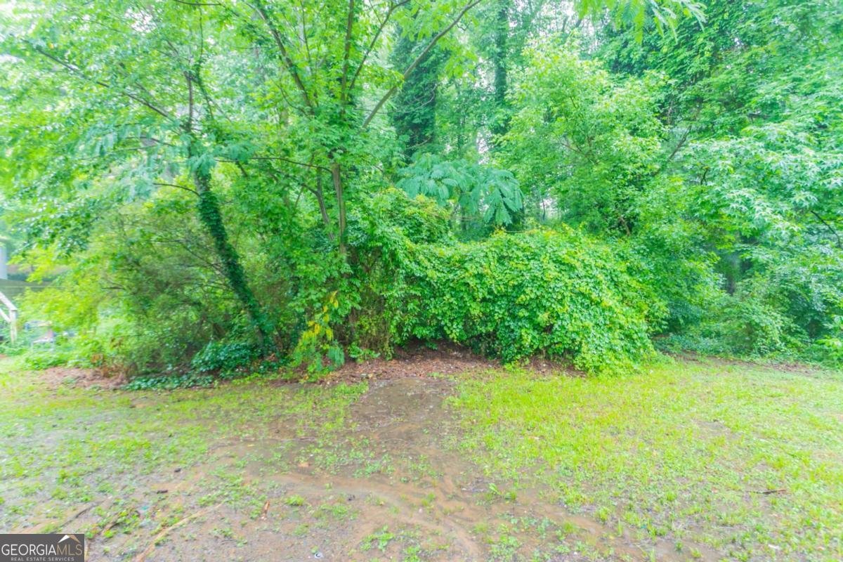 2817 Burton Road Atlanta - 33