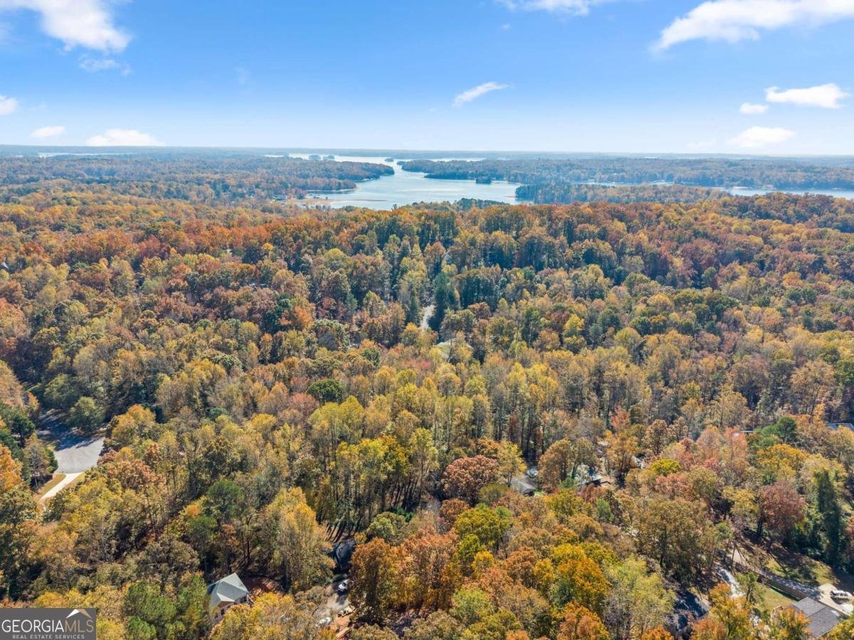 6315 Eidson Drive Cumming - 51