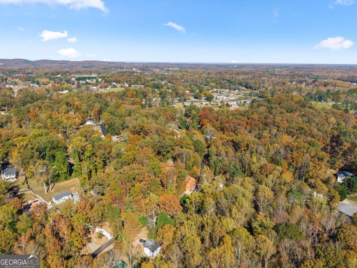 6315 Eidson Drive Cumming - 52