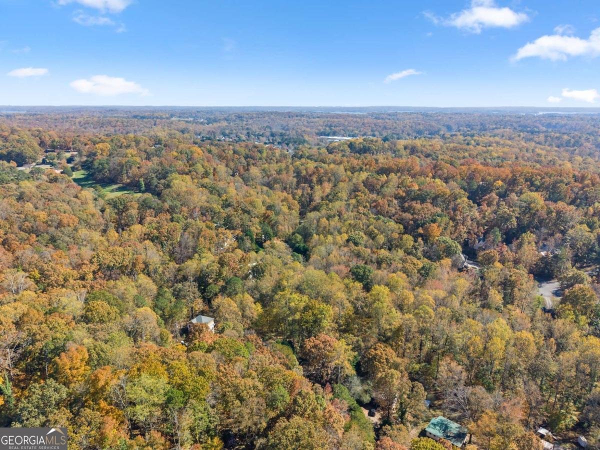 6315 Eidson Drive Cumming - 53