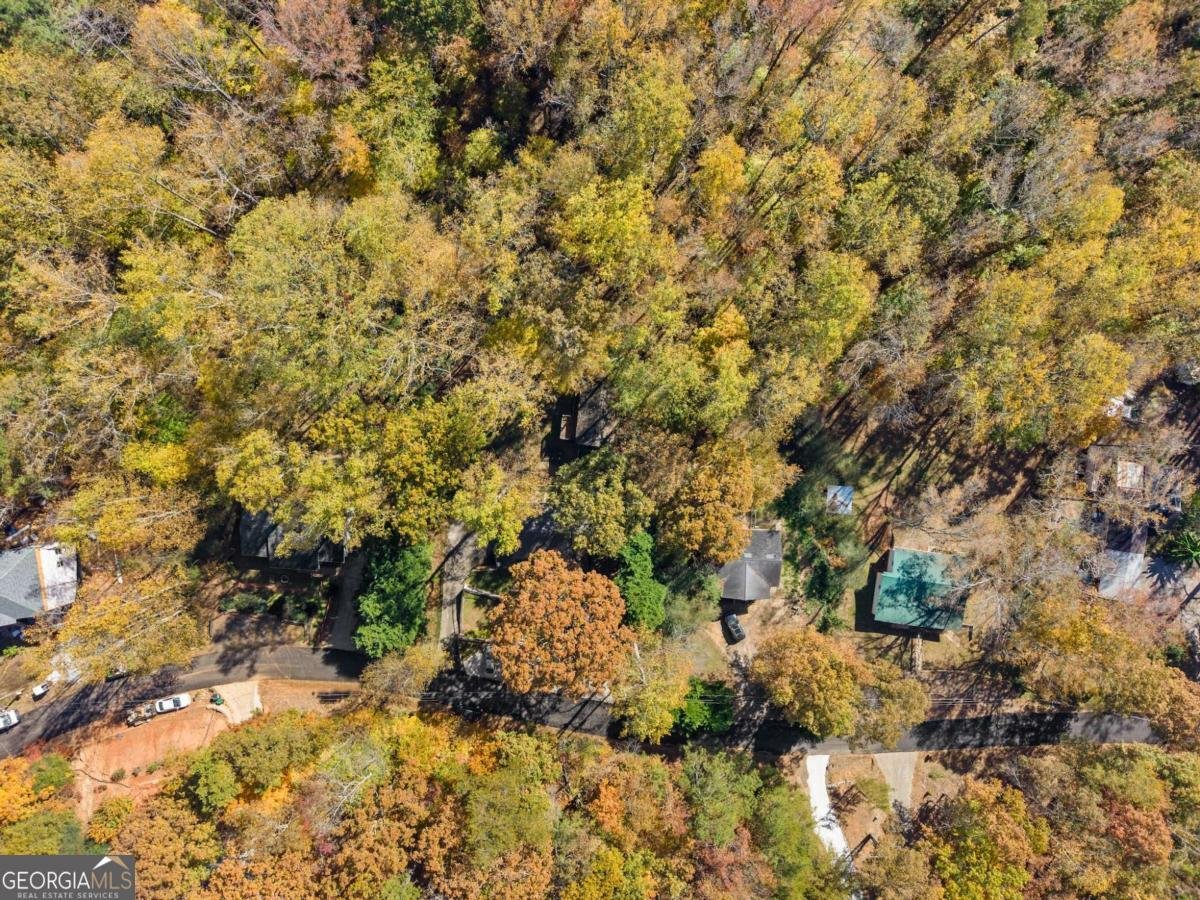 6315 Eidson Drive Cumming - 54