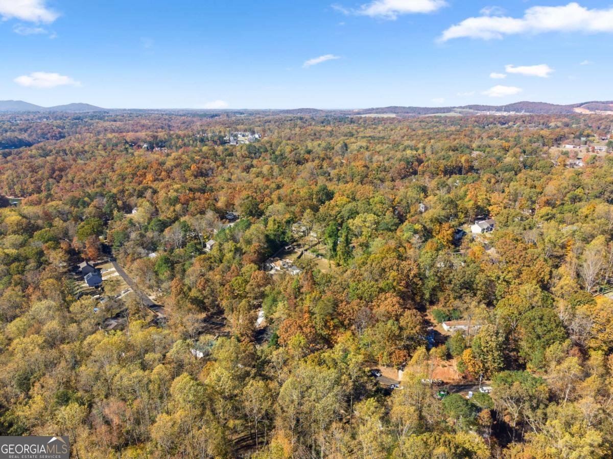 6315 Eidson Drive Cumming - 55