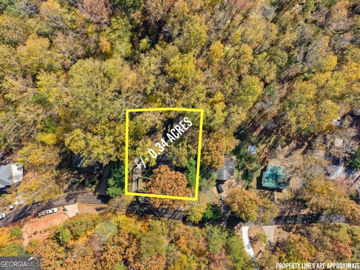 6315 Eidson Drive Cumming - 8