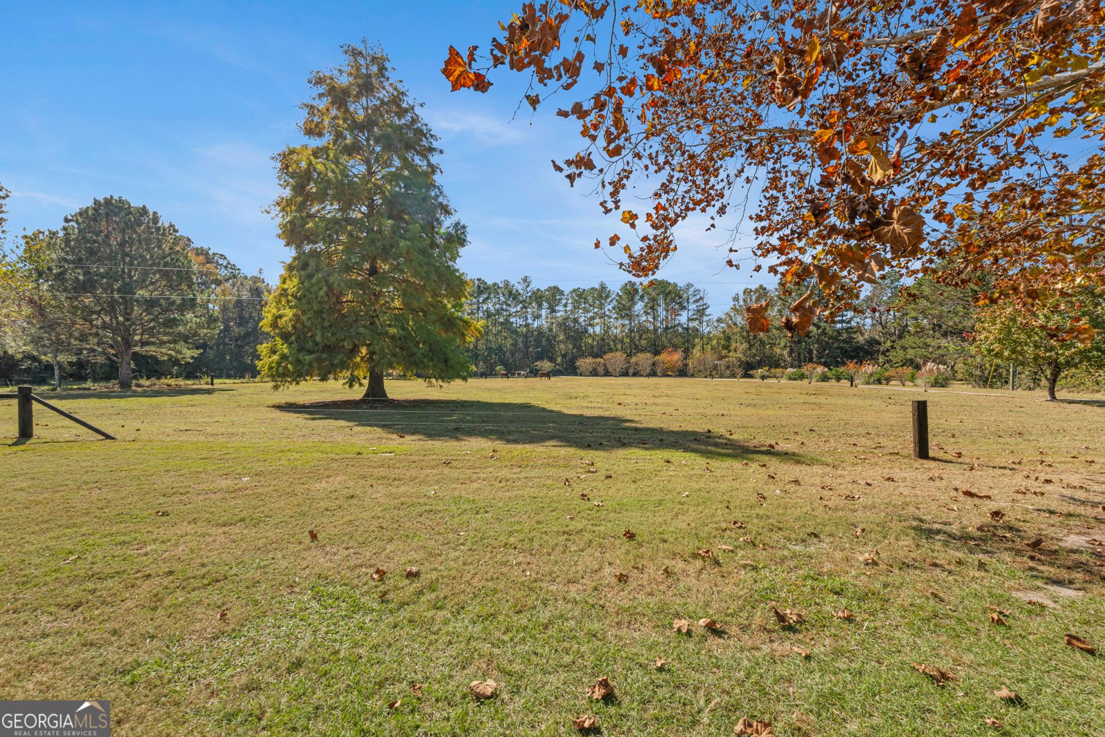 357 Pound Road Guyton - 47