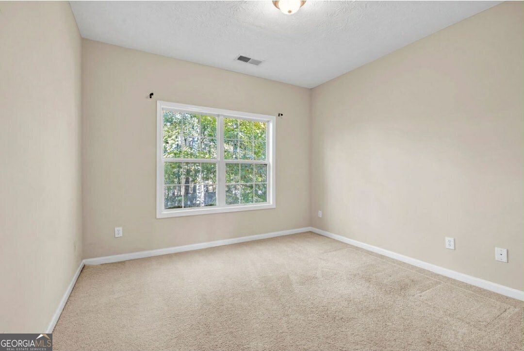 371 Interlake Pass Mcdonough - 10