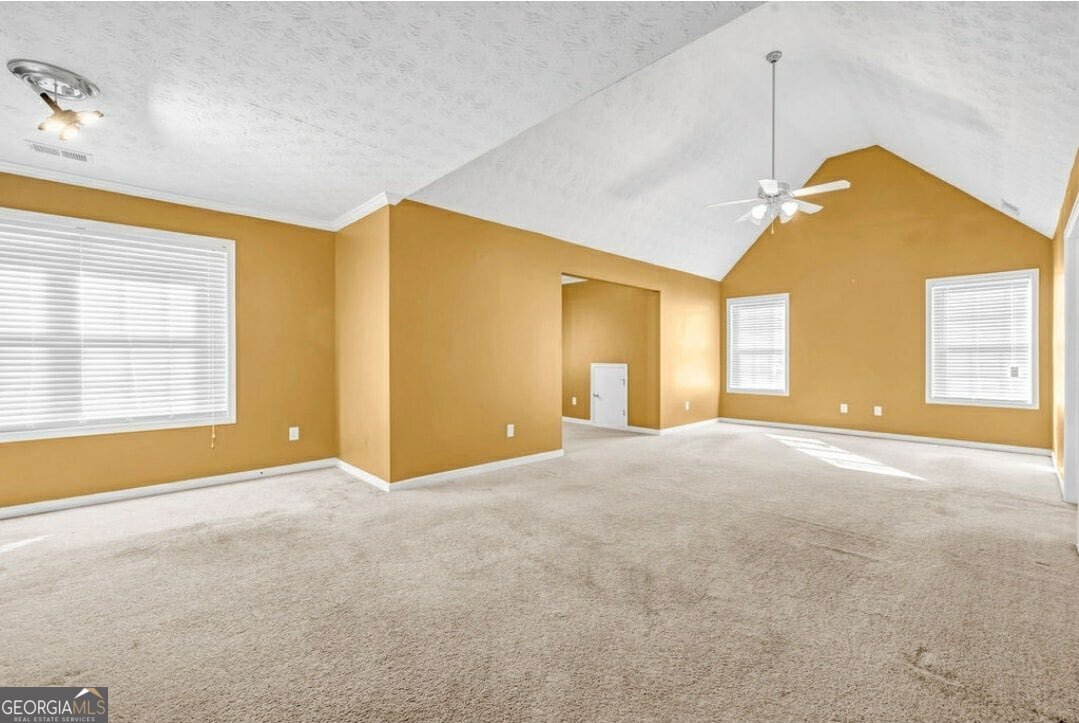 371 Interlake Pass Mcdonough - 11