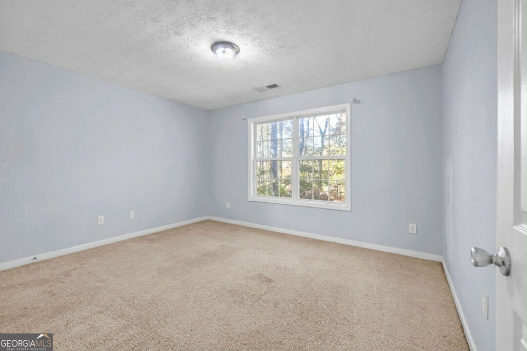 371 Interlake Pass Mcdonough - 16