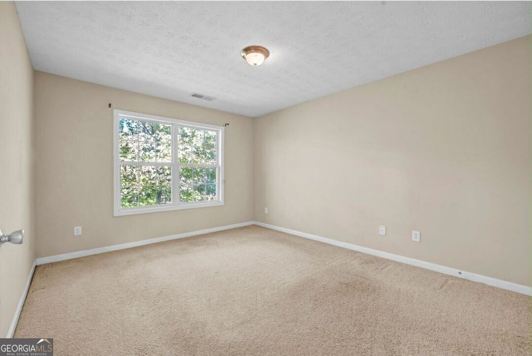 371 Interlake Pass Mcdonough - 18