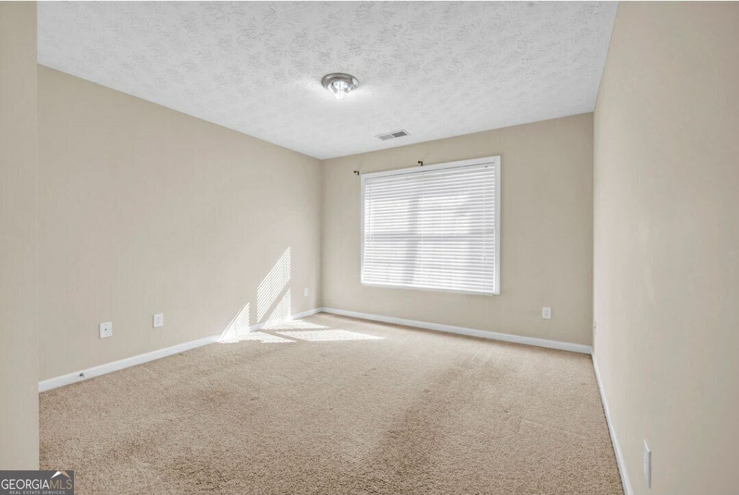 371 Interlake Pass Mcdonough - 19