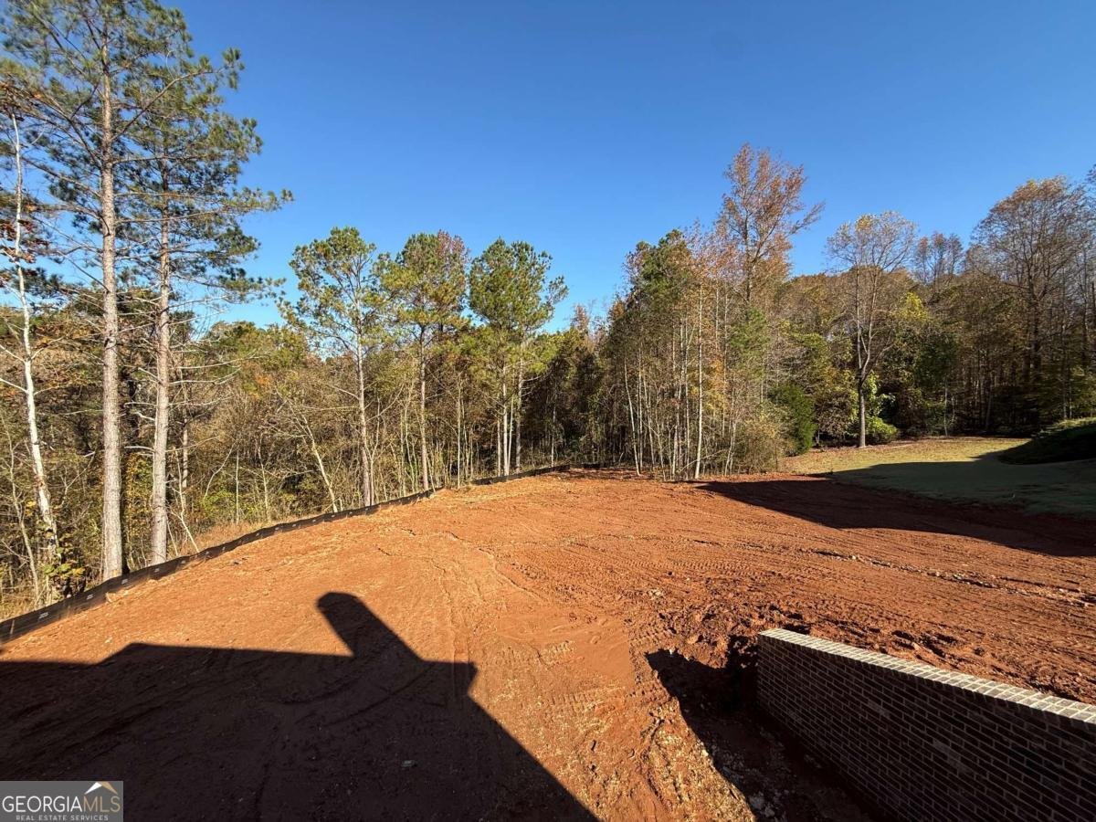 501 MEADOW LAKE Terrace Hoschton - 49