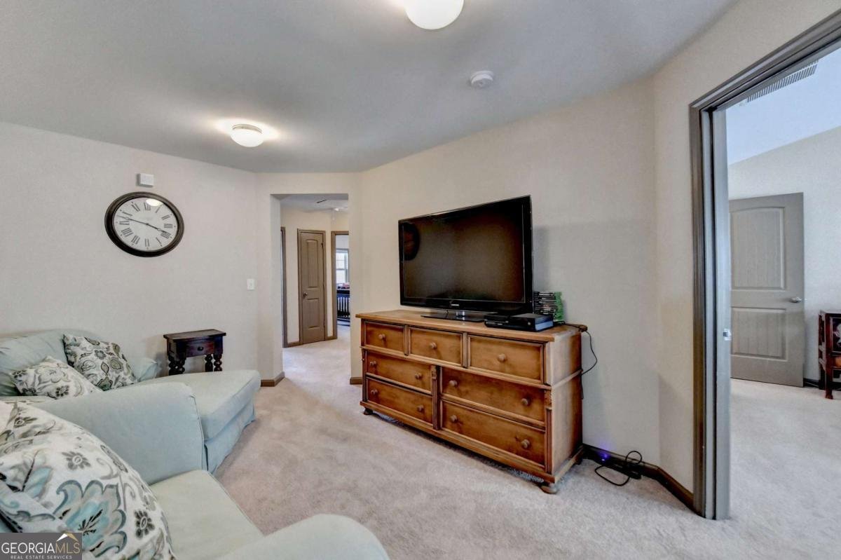 5870 Shiloh Woods Drive Cumming - 19