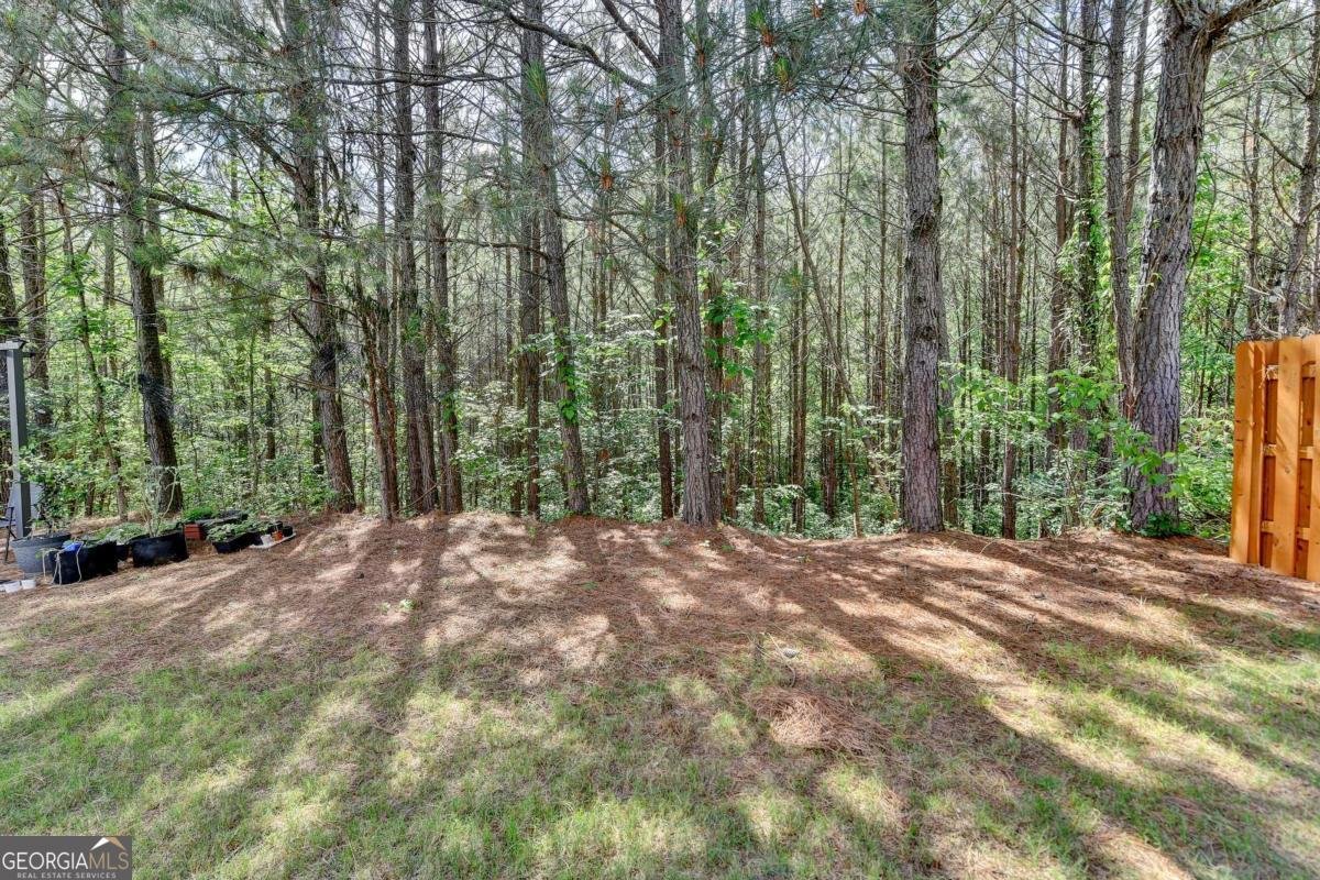 5870 Shiloh Woods Drive Cumming - 32