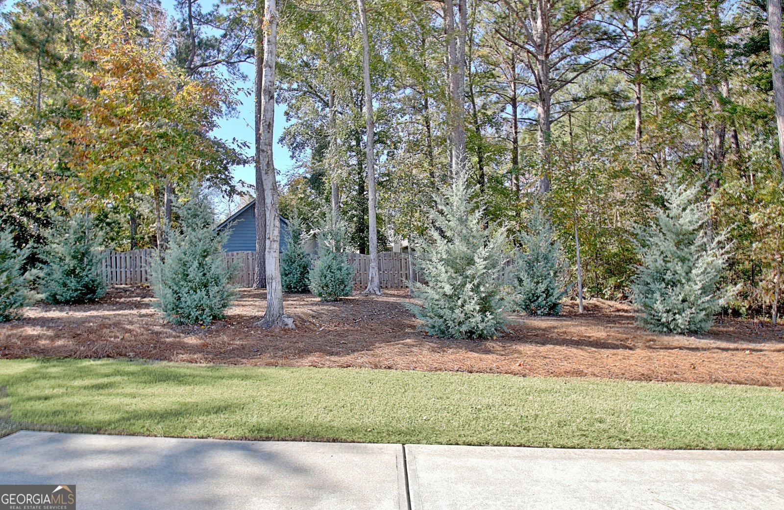 305 Traditions Way Senoia - 4