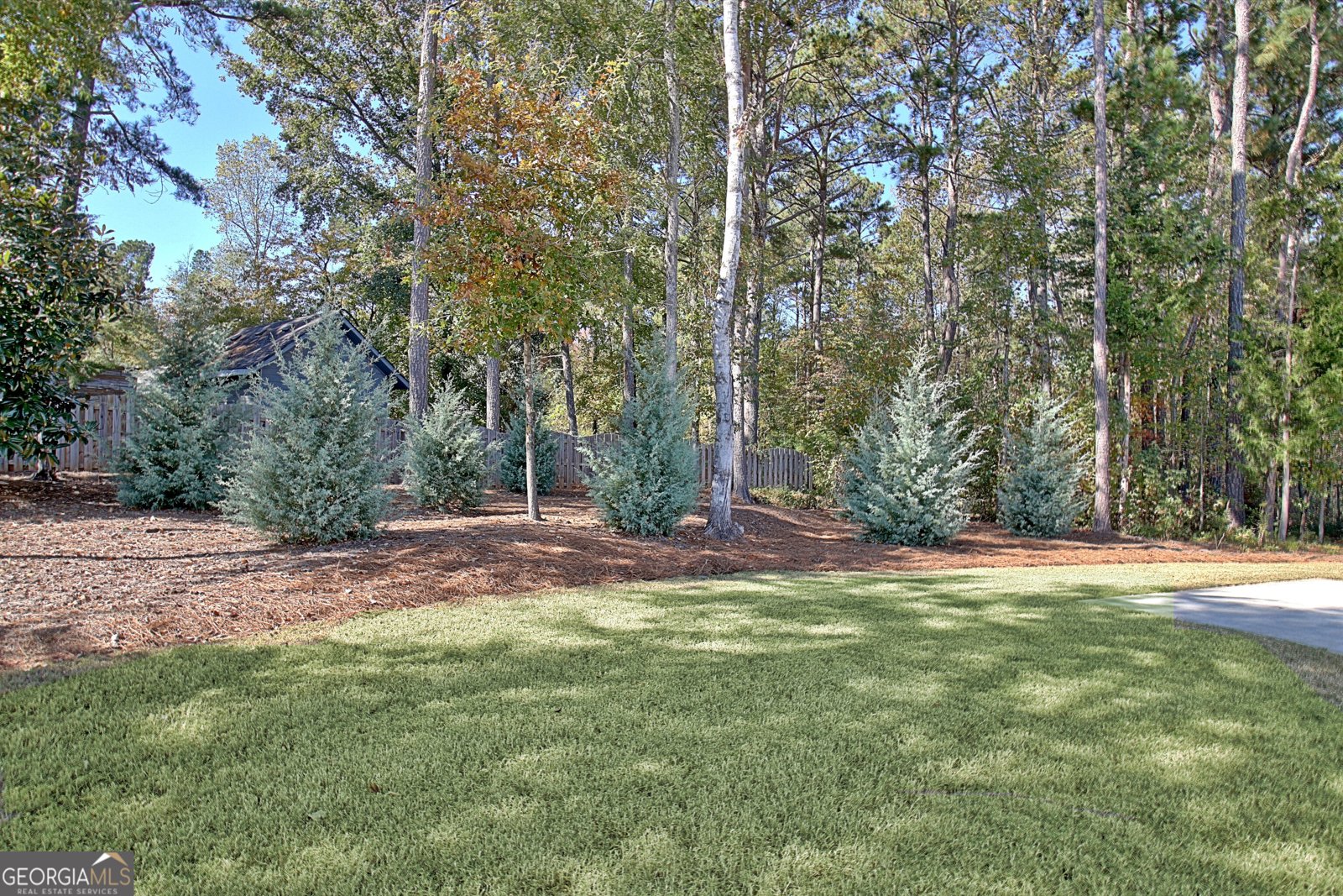 305 Traditions Way Senoia - 7