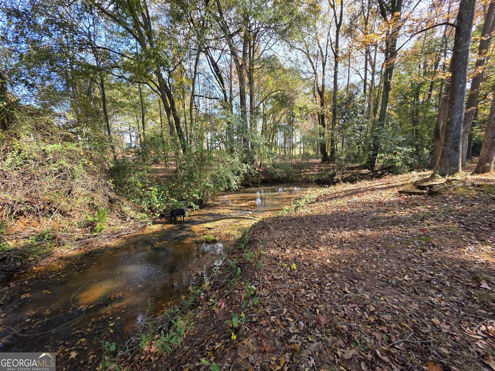 1412 & 1418 Yatesville HWY Thomaston - 51