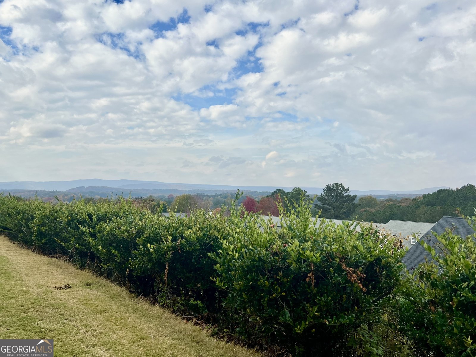 122 Millers Lane Calhoun - 49