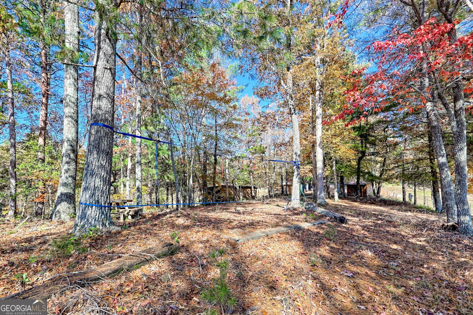 225 Whetstone Mountain Road Mountain Rest - 62