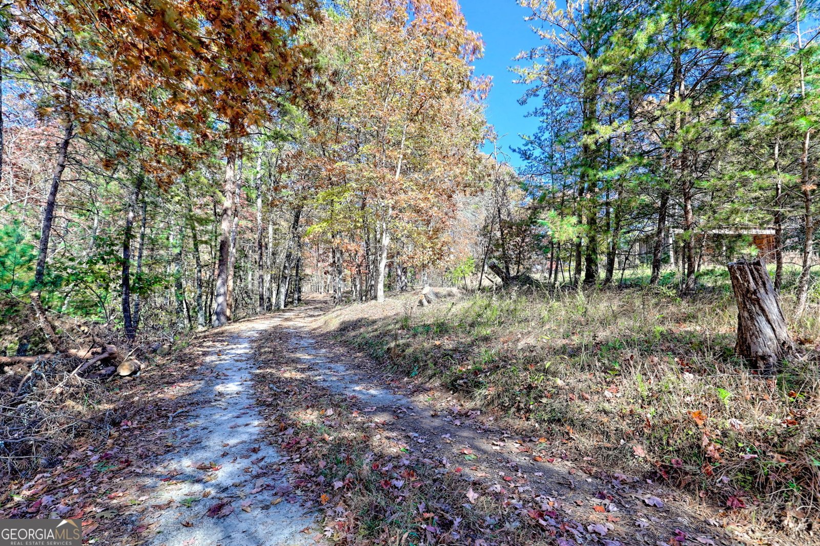 225 Whetstone Mountain Road Mountain Rest - 71