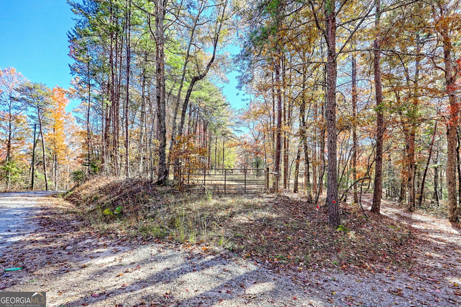 225 Whetstone Mountain Road Mountain Rest - 73