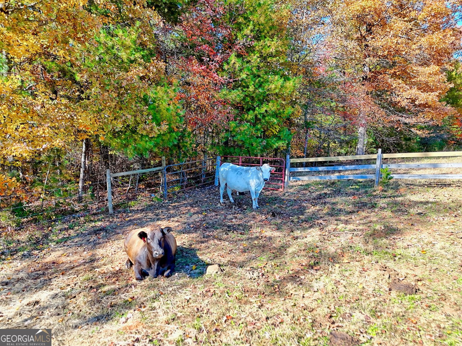 225 Whetstone Mountain Road Mountain Rest - 87