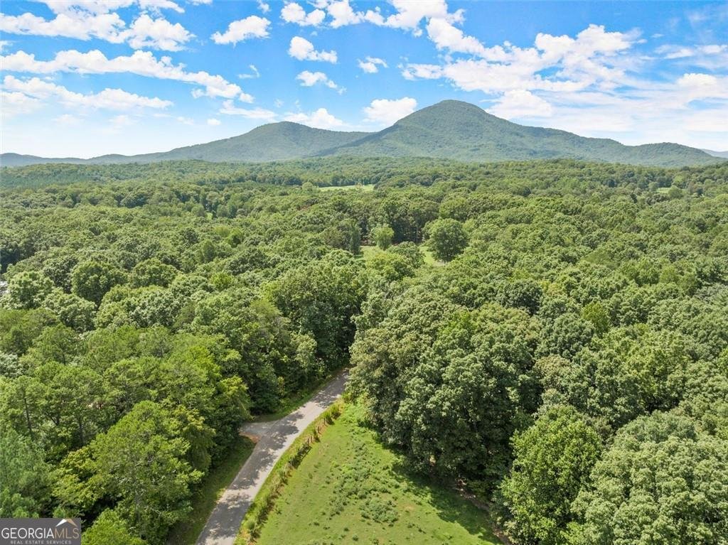 LOT 1 - Arthur Allen Road Cleveland - 12