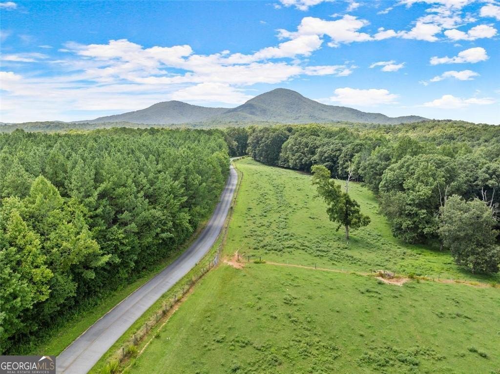 LOT 1 - Arthur Allen Road Cleveland - 8