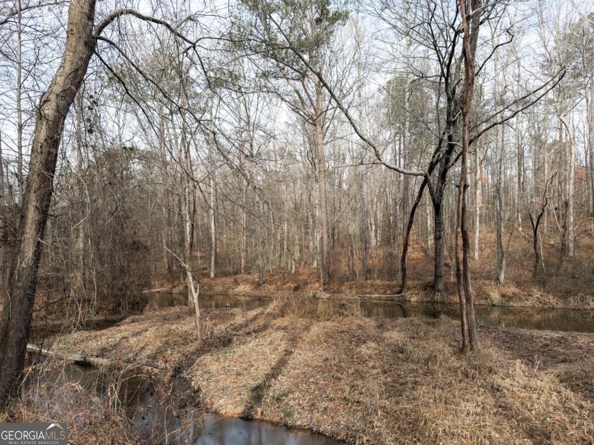 939 Jean Court Covington - 4