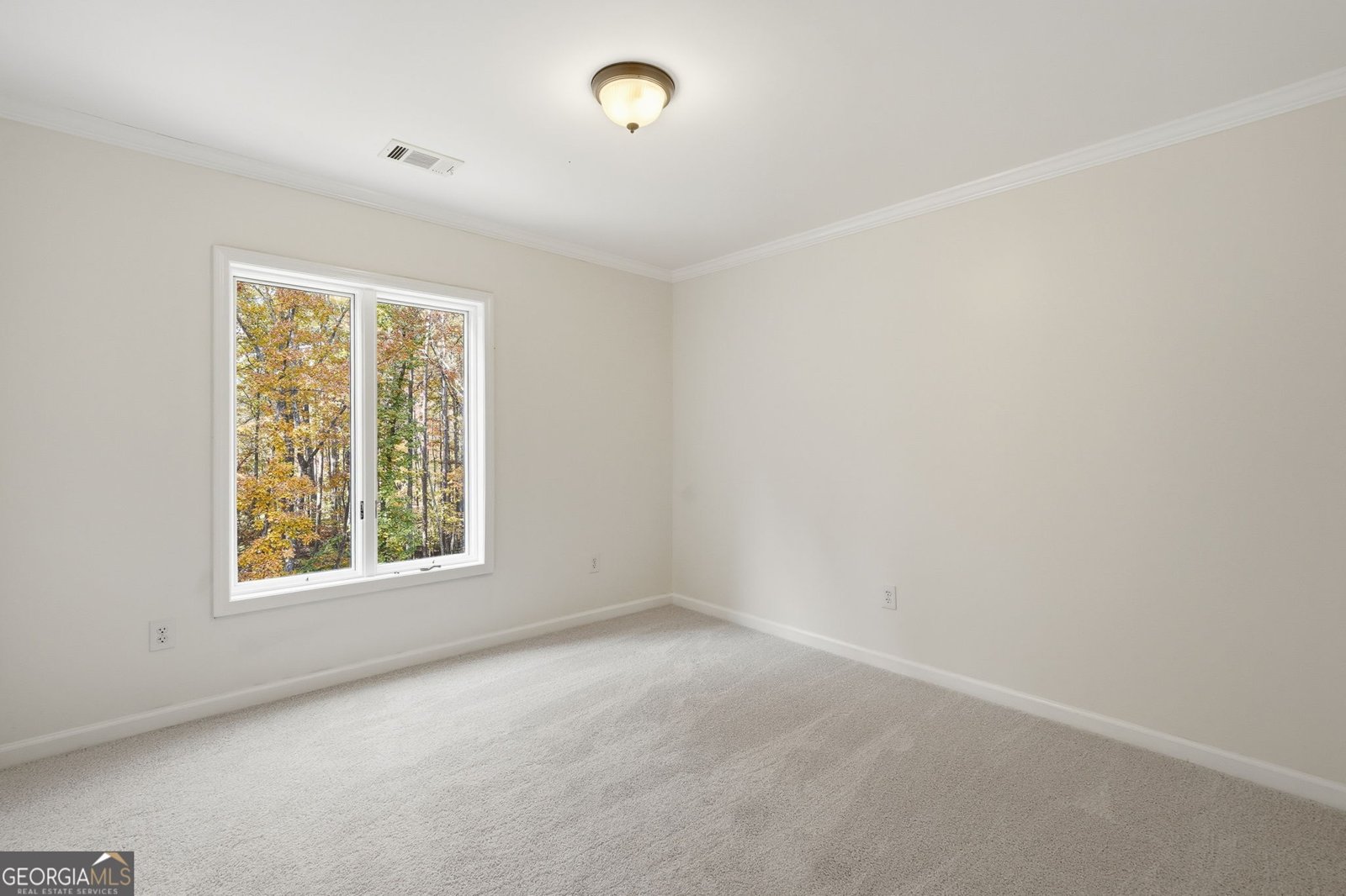 1799 Mountain Farm Road Woodstock - 40