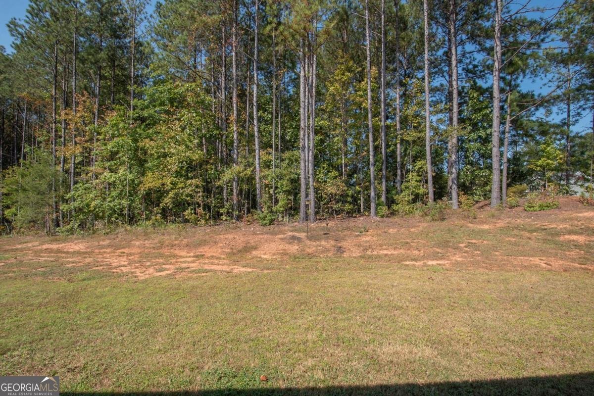 12 Parker Court Luthersville - 15