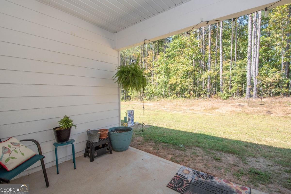 12 Parker Court Luthersville - 16