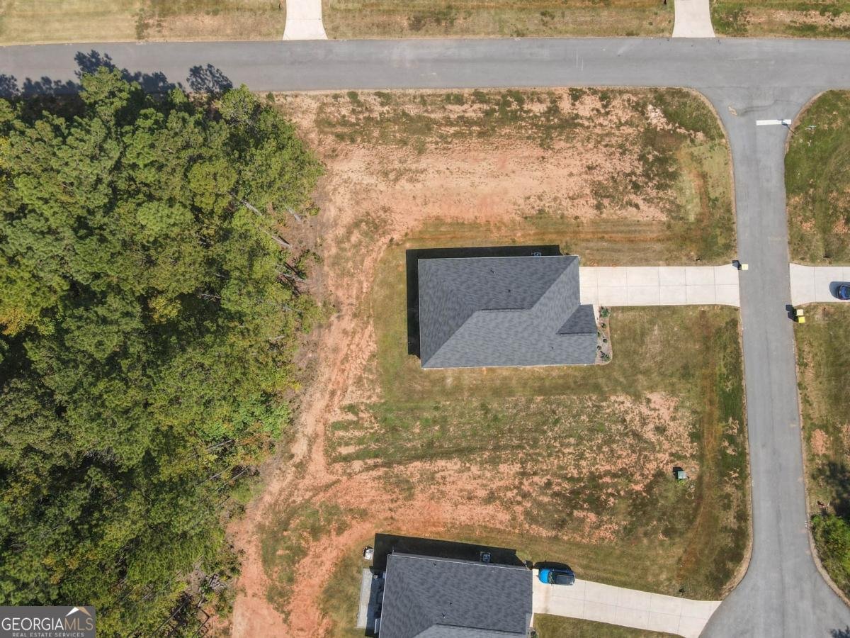 12 Parker Court Luthersville - 17