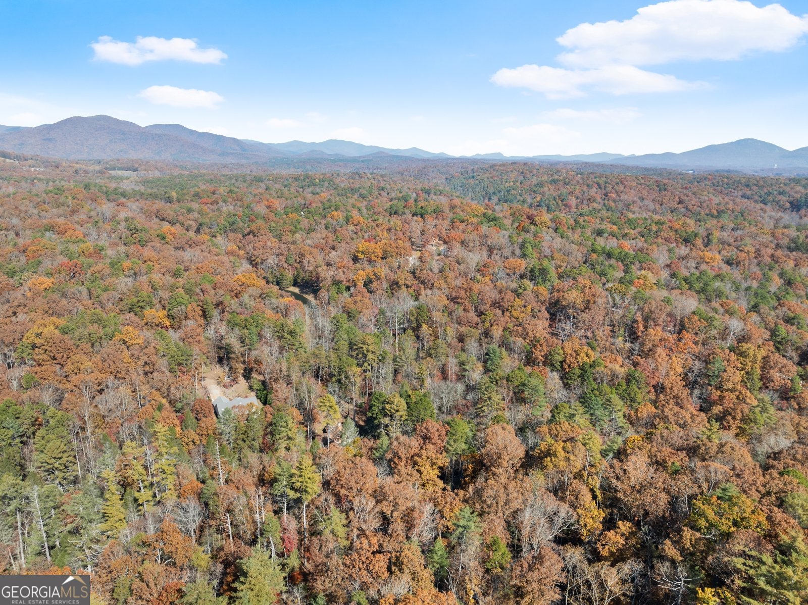 893 Hooper Road Cleveland - 17