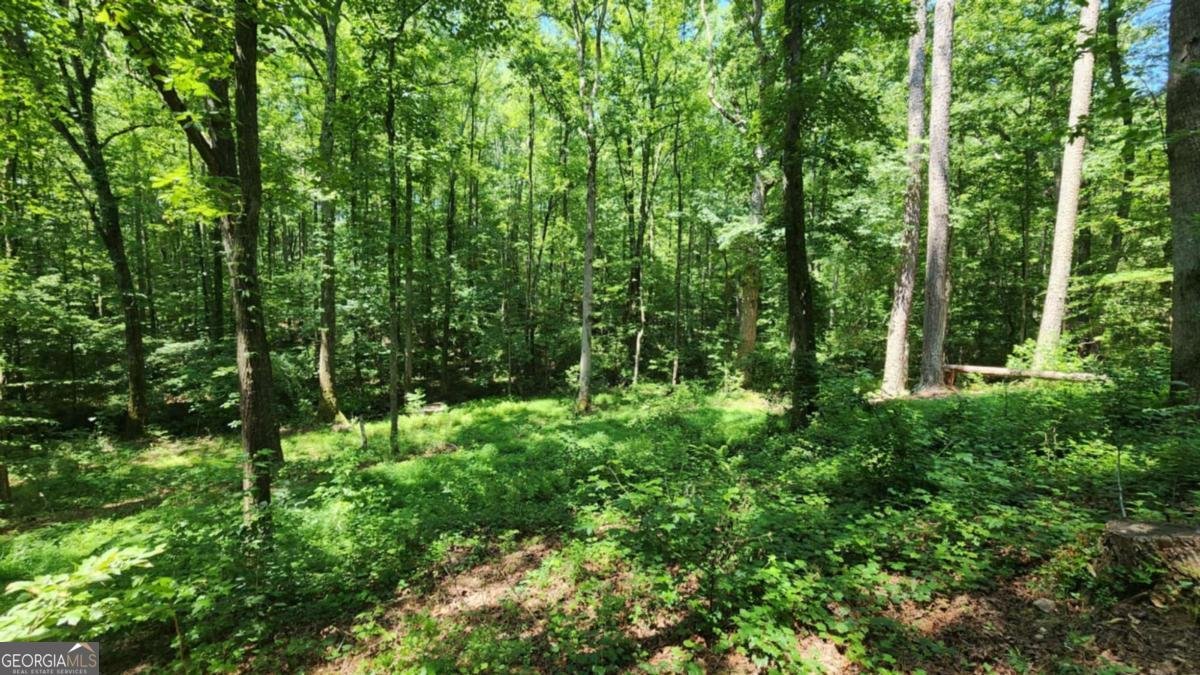 134 Cicero Trail Dawsonville - 1