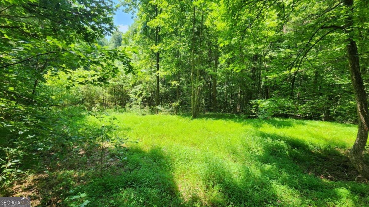 134 Cicero Trail Dawsonville - 13